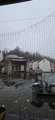 Möblierte 45 m² Wohnung mit Balkon in Bonn-Bad Godesberg