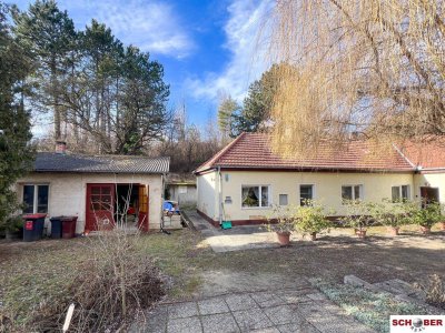 Traumgrund neben dem Wald mit sanierungsbedürftigem Althausbestand