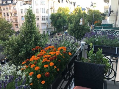 Wunderschöne 3 ZKB-Stilaltbau-Wohnung mit 2 Balkonen zu verkaufen !
