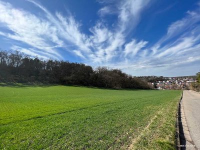 „Wohnen in sonniger Randlage mit Blick in die Natur“ Moderne DHH in Weissach