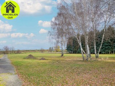 Ideal für Tierhaltung! Bauernhof für ein oder zwei Familien mit 6500qm Weideland bei Großenhain