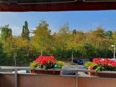 Schöne helle 3-ZKBB/ wunderbare Lage am Ahnepark/ Blick ins Grüne/ EBK/ Hausordnung inkl.