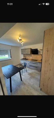 Modernisierte 2-Raum-Wohnung mit Garten Nutzung und Einbauküche in Hagenbach