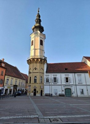 Modernes Wohnen im Grünen - 60 m² Wohnung mit Garten &amp; Terrasse in Bad Radkersburg!