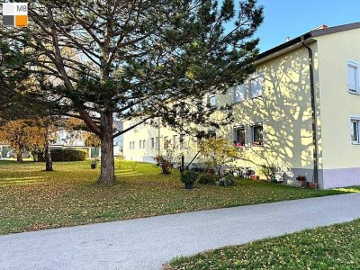 ++ Zur grünen Aussicht! ++