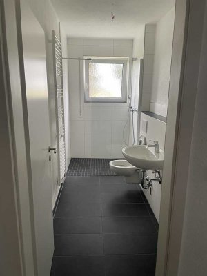 Exklusive, geräumige und modernisierte 1-Zimmer-Wohnung mit Balkon in Wiesbaden