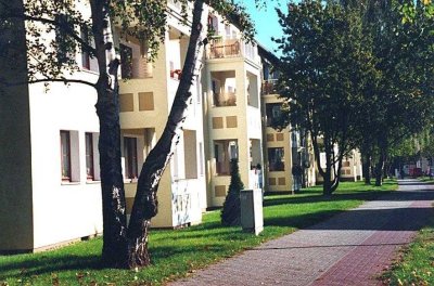 Wohnungsangebot Schilfbreite 31