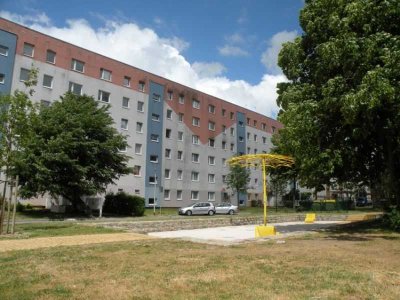 Frisch sanierte 1 Raumwohnung in Knieper West!