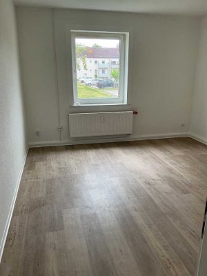 Perfekt für Serienabende, Pflanzen & gute Vorsätze