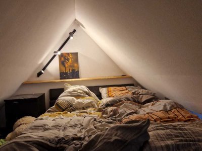 Geräumige 1-Raum-Dachgeschosswohnung im sanierten Fachwerkhaus