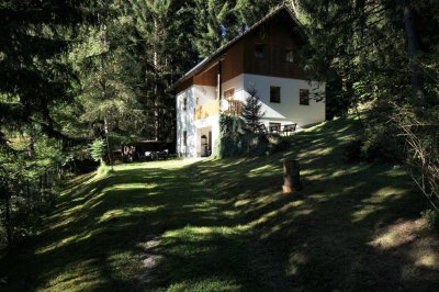 Wohnen im Wald mit Lichtung zum Bach und Erweiterungsmöglichkeit aufgrund 1.050 m² Bauland Zweitwohnsitzwidmung