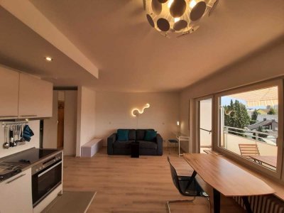 wunderschönes 1-Zimmer-Apartment mit Balkon in Schwetzingen