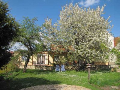 Helle, gemütliche ebenerdige 2-RWg mit großer Terrasse in Radeberg, Tierhaltung möglich, Garten