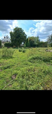 Charmantes Einfamilienhaus mit großem Grundstück in Belm – Ideal für Familien und Naturliebhaber