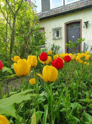 Charmante Doppelhaushälfte  (7 Zimmer und Garage) Salzgitter-Thiede - Fördermöglichkeit
