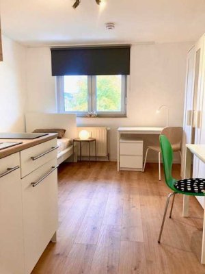 NEU renovierte + möblierte 1-Zimmer Wohnung im 2. OG in Kaiserslautern Innenstadt