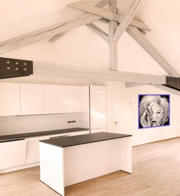 Karlsruhe City: Cooles Loft im Hinterhaus des legendären MONINGERHAUS - 3 Räume, offenes Wohnkonzept