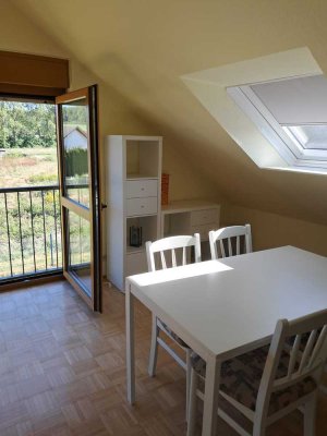 Wunderschöne Dachgeschosswohnung mit herrlichem Ausblick auf den Hain
