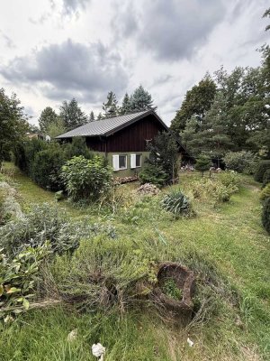 Autarkes Ferienhaus direkt am Wald