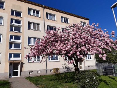 Sonnenplatz im Sommer genießen? 2-Raum-Wohnung mit Balkon
