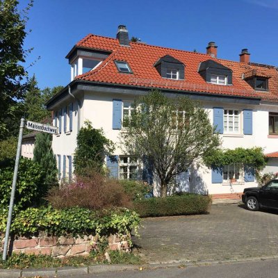 Wunderschöne Wohnung mit über 200 QM Garten in Heidelberg