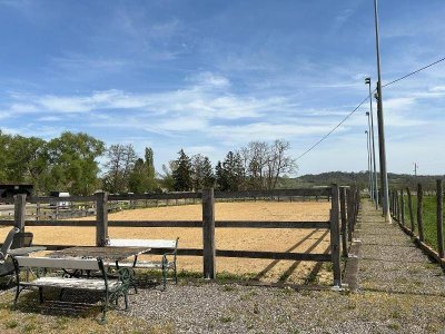 Zeitzeuge am Gartenbach – Historisches Mühlenanwesen Pferdehaltung
