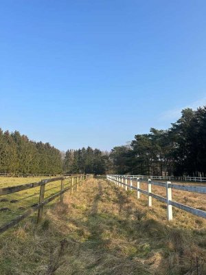 Eine Perle in der Lüneburger Heide-Anwesen mit vielfältigen Möglichkeiten