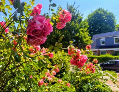3-Zi. Whg mit Balkon großem eigenen Garten und Garage in Elbnähe!