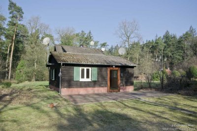 Ferien- und Wohnhaus mitten im Wald in Ostrittrum