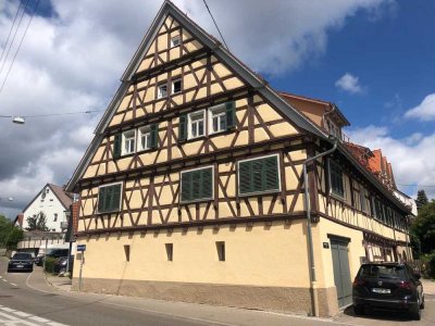 Schön renovierte, großzügige 3,5 Zi.- Wohnung mit besonderem Flair