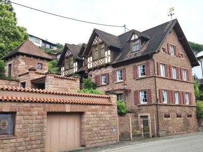 Schöne 2-Zimmer-Terrassenwohnung mit luxuriöser Innenausstattung mit Einbauküche in Weidenthal