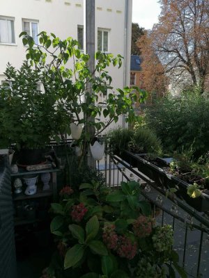 Sehr schöne 3-Raum-Wohnung mit Balkon in der Innenstadt absolute Zentrumslage