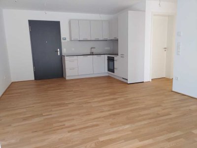 Erstbezug 2-Zimmer-EG-Wohnung, mit geh. Innenausstatt., inkl. Einbauküche + TG-Stellplatz, Terrasse