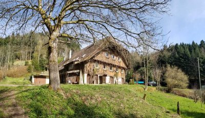 Wunderschönes Bauernhaus in Wolfach/Langenbach im Schwarzwald