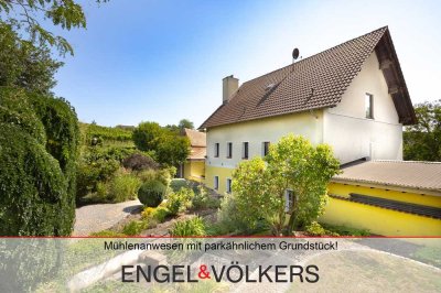 Charmantes Mühlenanwesen an den Weinbergen mit parkähnlichem Grundstück!