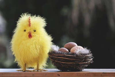 Eigenes Nest gesucht??Jetzt 3 Monate Hauptmietzinsfrei!