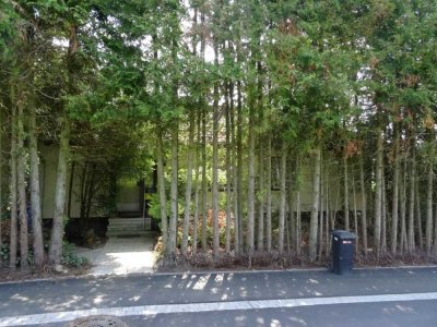 Unter 60% vom VKW für kleines renov.-bedürftiges EFH in Willingshausen. PROVISIONSFREI !