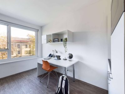 DIE ZIMMEREI | Helles + zentrales 1-Zimmer-Apartment für Lehrlinge + Studierende | Bigger Bude