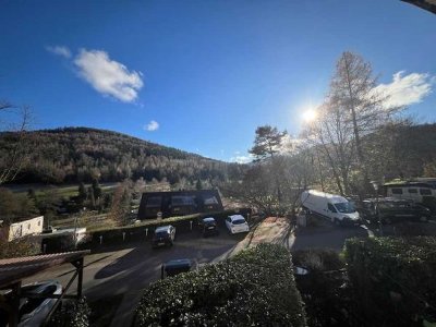 Frisch renoviertes 1-Zimmer-App mit neuer EBK, Balkon & Stellplatz