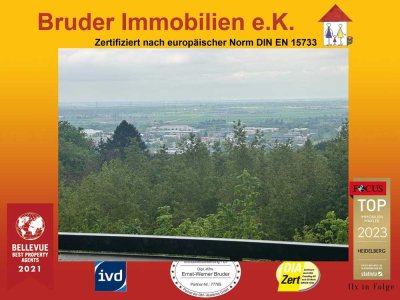HD-Emmertsgr: 2- ZKB mit Balkon – Blick bis Frankreich, renovierungsbedürfrig, FREI, keine K-Prov.