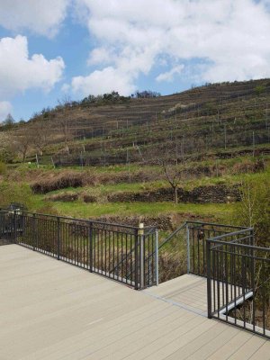 Nahe an den Weinberge und Blick zur Ruine Senftenberg-pures Wohnerlebnis