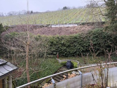 Exklusive 3 Zimmer Wohnung Neroberg direkt am Weinberge