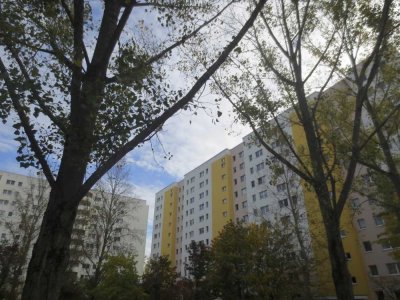 Gepflegte 2-Zimmerwohnung mit Loggia und Einbauküche in Berlin