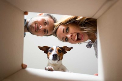 Dein neues Zuhause: Hier ist der Kühlschrank immer in Reichweite.