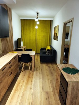Sehr schöne 1,5-Zimmerwohnung in Ahaus - Ambrosiusstraße