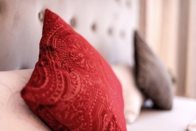 Luxuriöse Ferienwohnung mit hoher Rendite unweit vom Skilift !