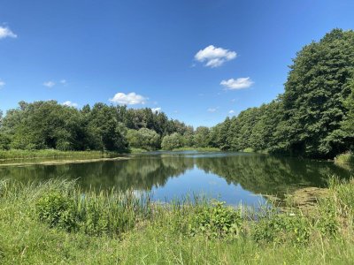 Erstbezug am Mühlwasser – 2-Zimmer-Dachgeschosswohnung mit Terrasse und Balkon