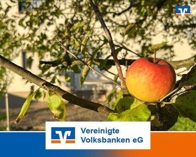 Apfelbaum mit Haus suchen lebendige Familie!