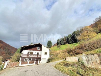 Renovierungsbedürftiges Mehrfamilienhaus mit 1 Ha Grund in Urfahr!