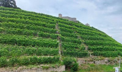 Charmante Doppelhaushälfte mit traumhaftem Weinbergblick